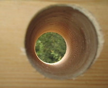 Сверление в древесине на глубину до 0.5 м/п, фото 2