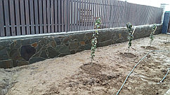 Укладка  натурального камня( песчаника) на опорные  стены, цокали и т.д